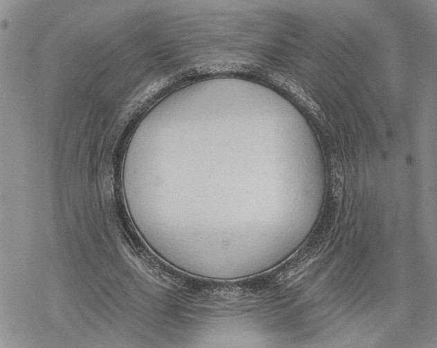 X0000078230631200611251215