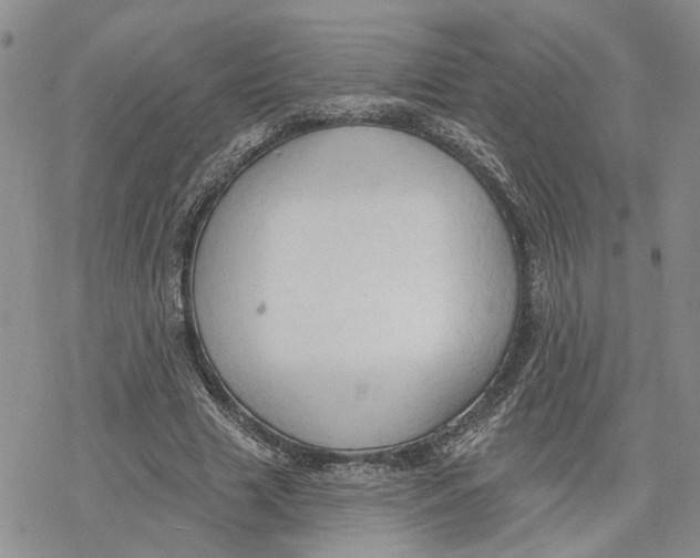 X0000078230633200611251215