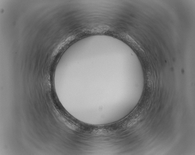 X0000078230634200611251215