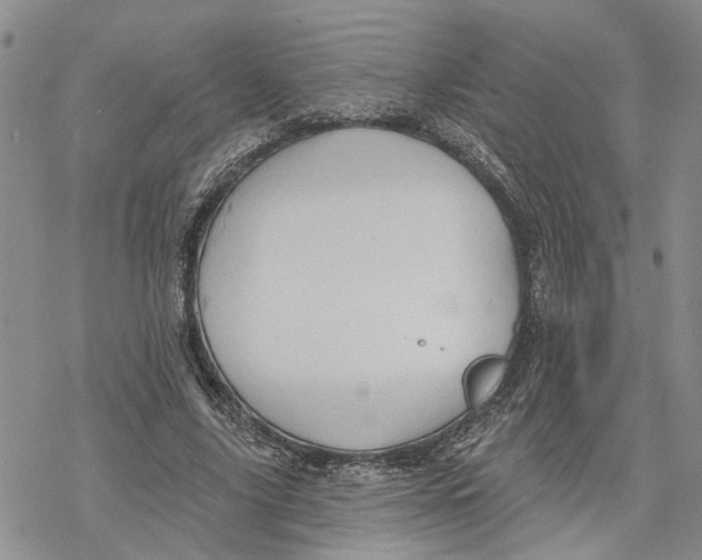 X0000078230635200611251215