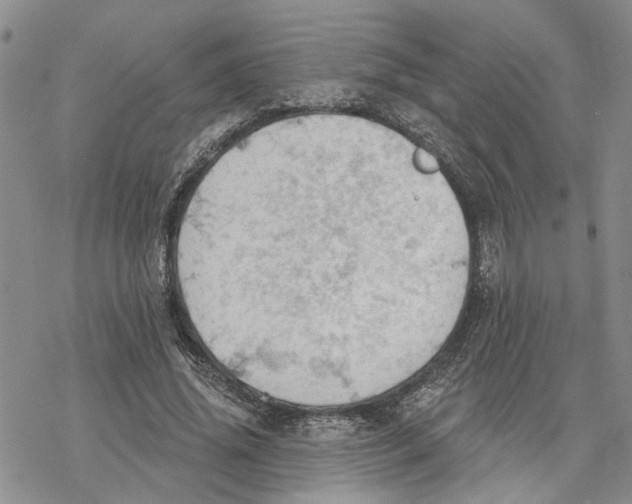 X0000078230636200611251215