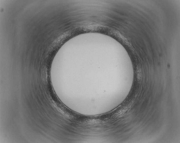 X0000078230637200611251215