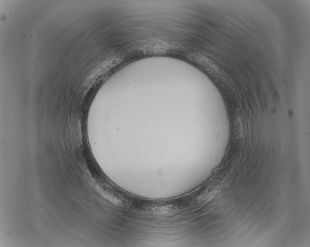 X0000078230638200611251215