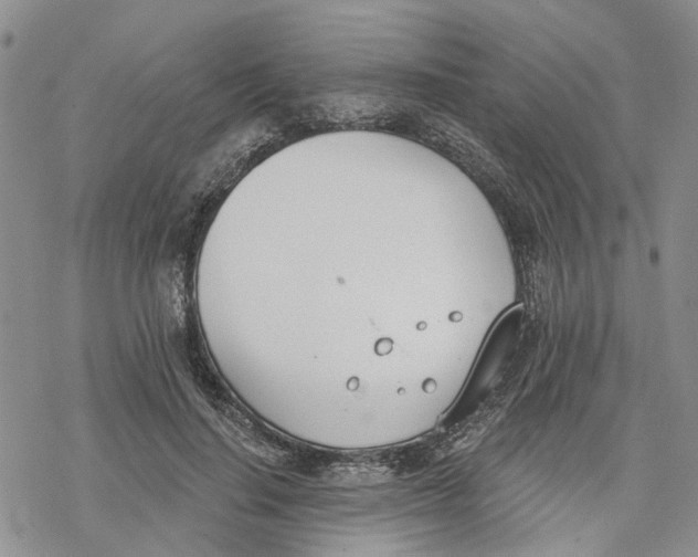 X0000078230644200611251215