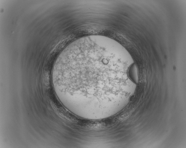 X0000078230646200611251215