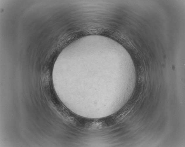 X0000078230647200611251215