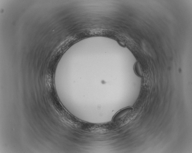 X0000078230648200611251215