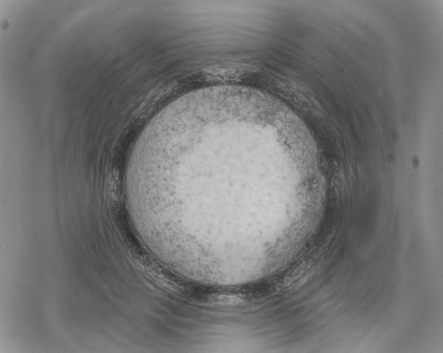 X0000078230649200611251215