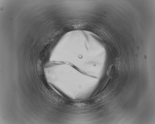 X0000078230650200611251215