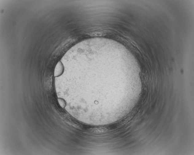 X0000078230652200611251215