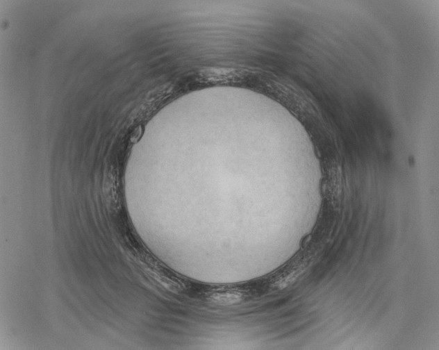 X0000078230653200611251215