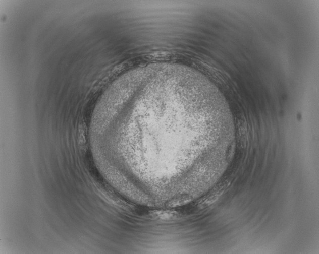 X0000078230654200611251215