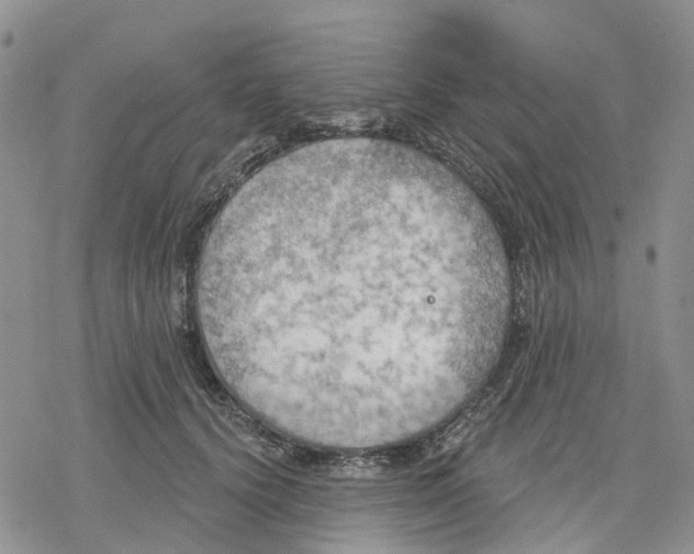 X0000078230656200611251215