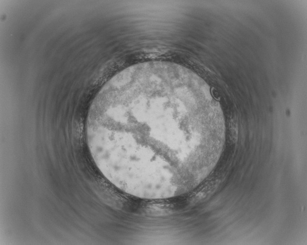 X0000078230657200611251215