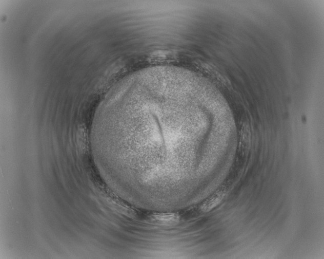 X0000078230659200611251215