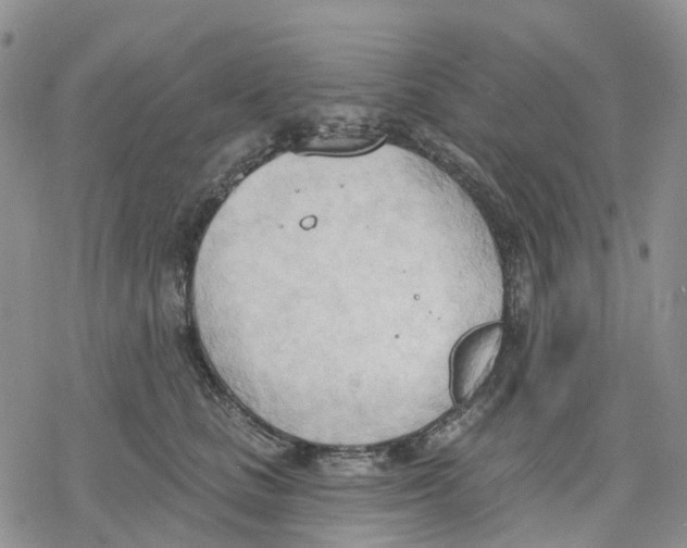 X0000078230661200611251215