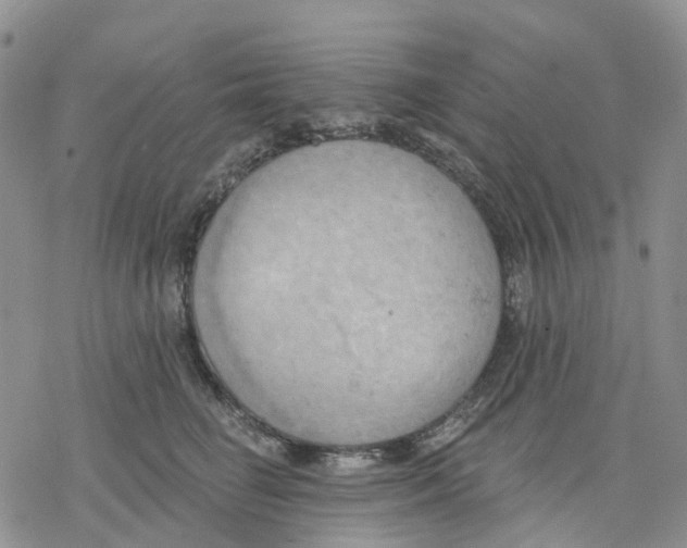 X0000078230662200611251215