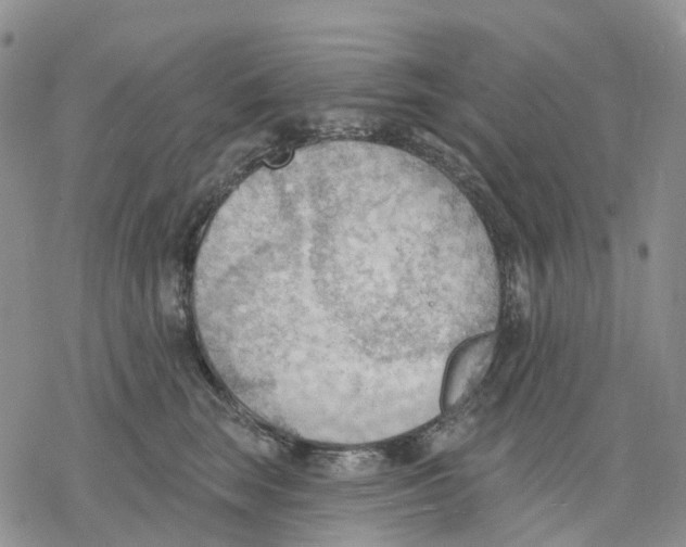 X0000078230663200611251215