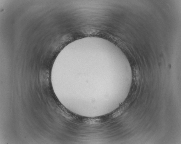 X0000078230664200611251215