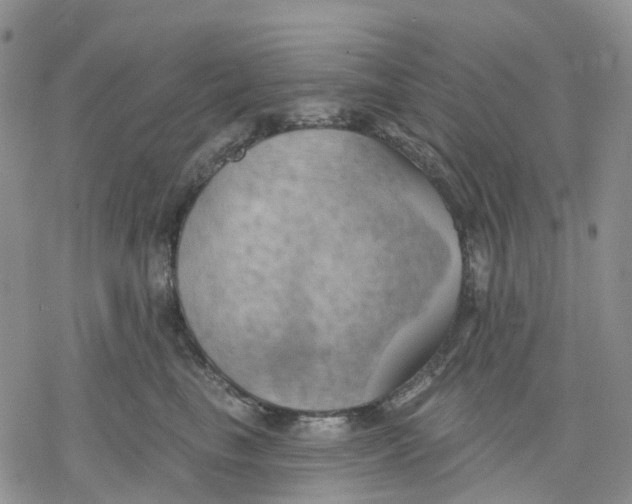 X0000078230665200611251215