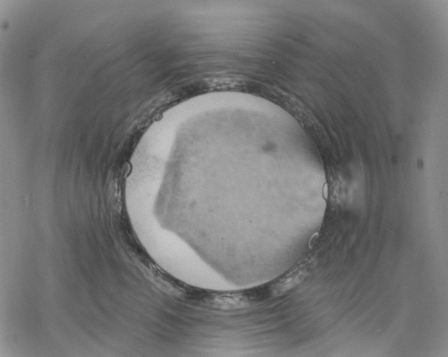 X0000078230666200611251215