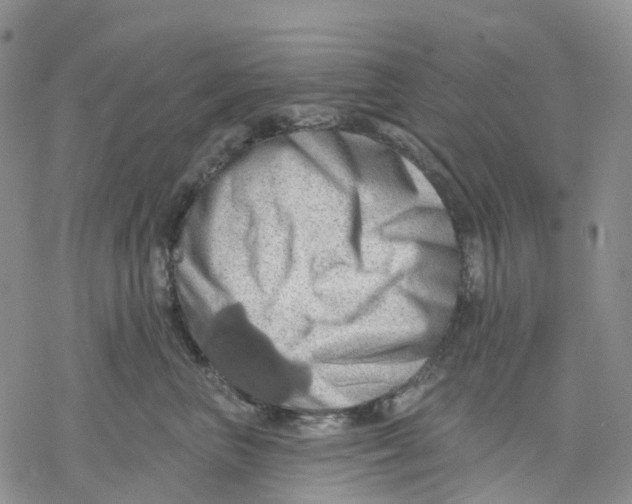 X0000078230667200611251215