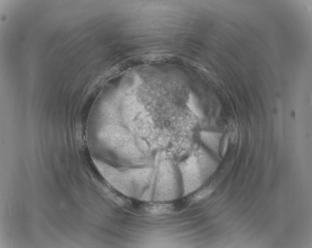 X0000078230670200611251215