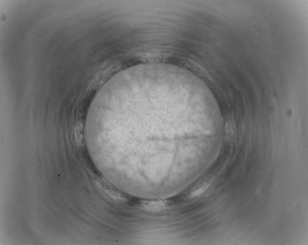 X0000078230671200611251215