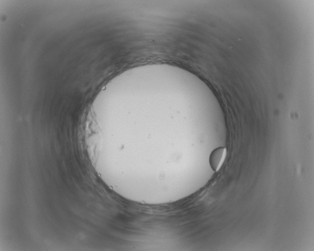 X0000078230672200611251215