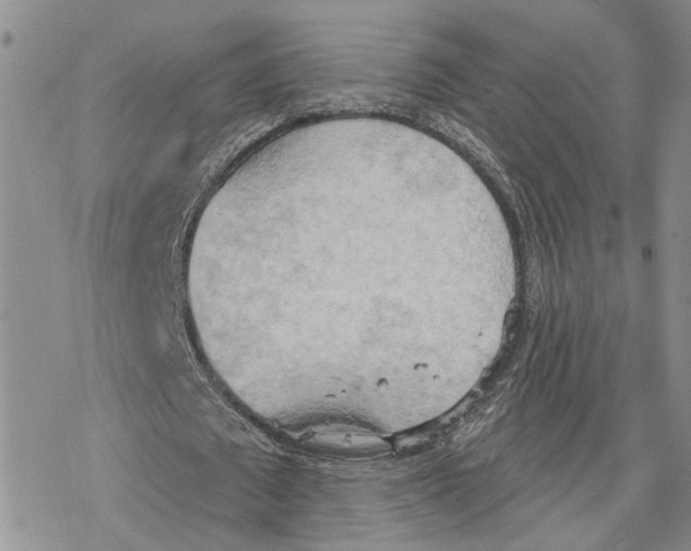 X0000078230673200611251215