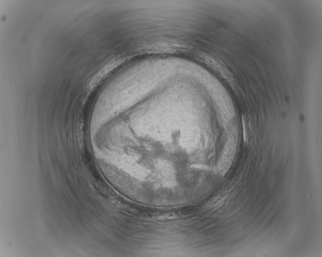 X0000078230675200611251215