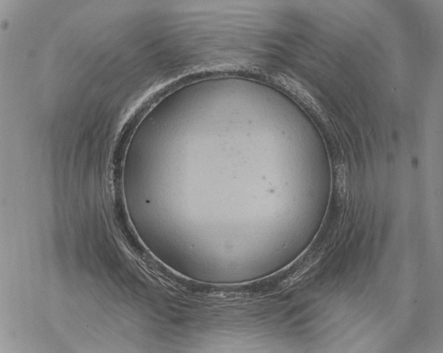 X0000078230676200611251215