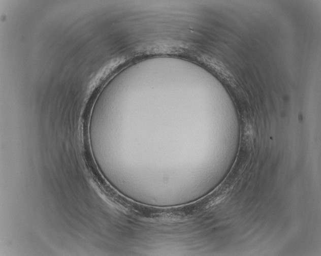 X0000078230678200611251215