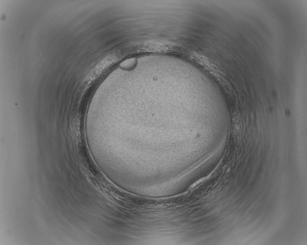 X0000078230679200611251214