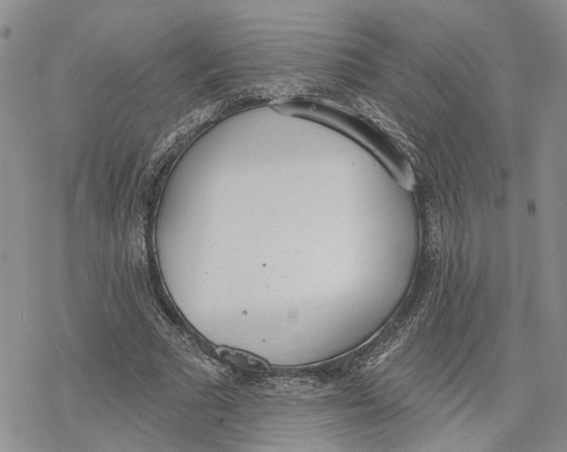 X0000078230681200611251214