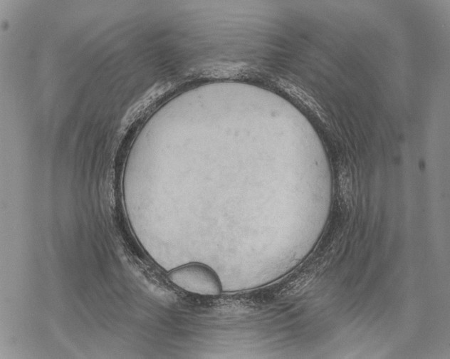 X0000078230682200611251214