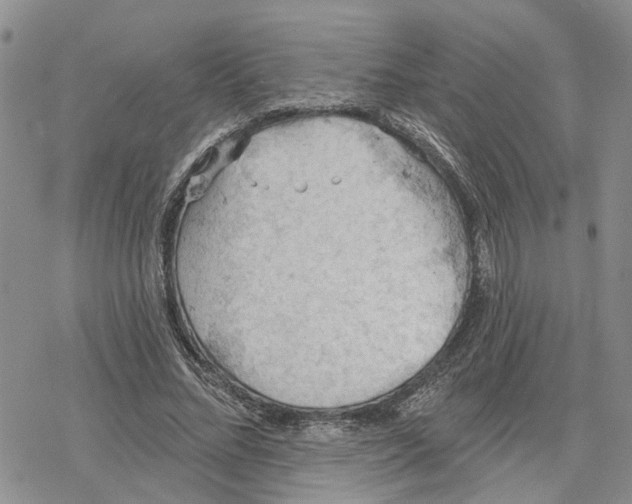 X0000078230684200611251214