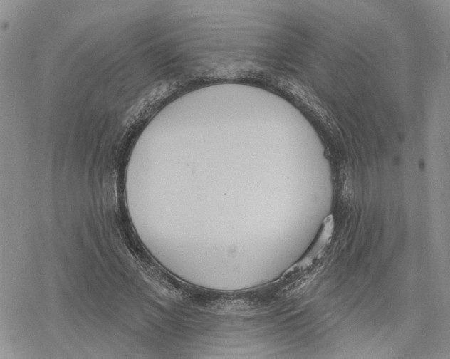 X0000078230685200611251214