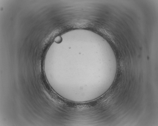 X0000078230686200611251214