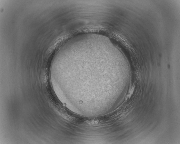 X0000078230687200611251214