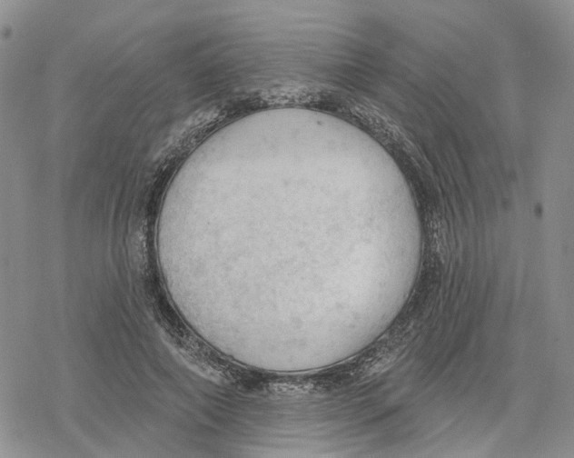 X0000078230690200611251214