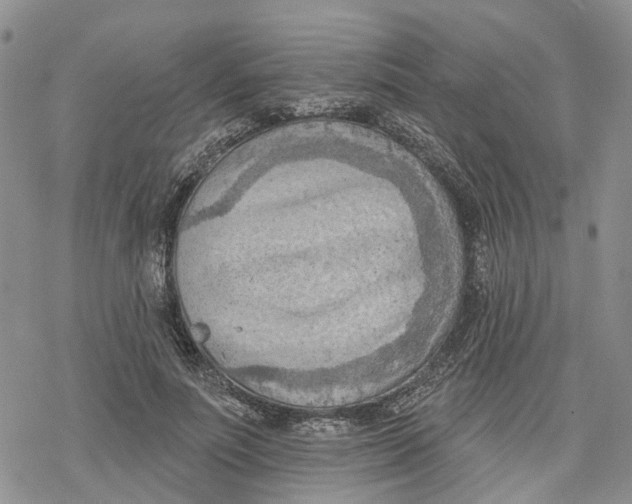 X0000078230691200611251214