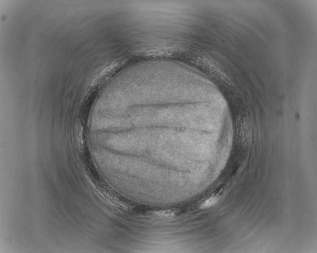 X0000078230692200611251214