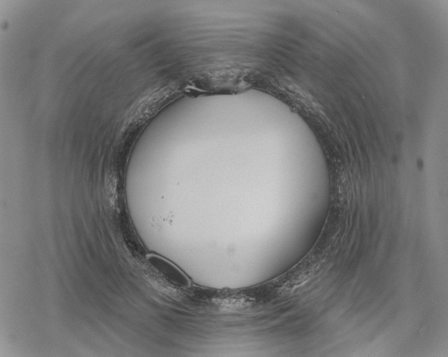 X0000078230693200611251214