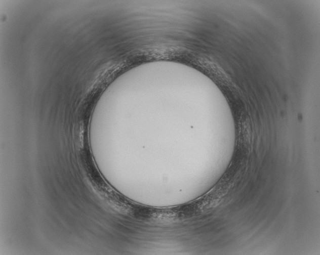 X0000078230694200611251214