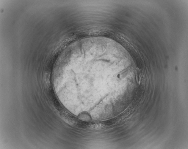 X0000078230695200611251214