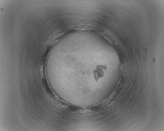 X0000078230696200611251214