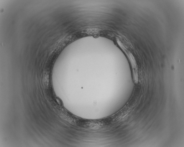 X0000078230697200611251214