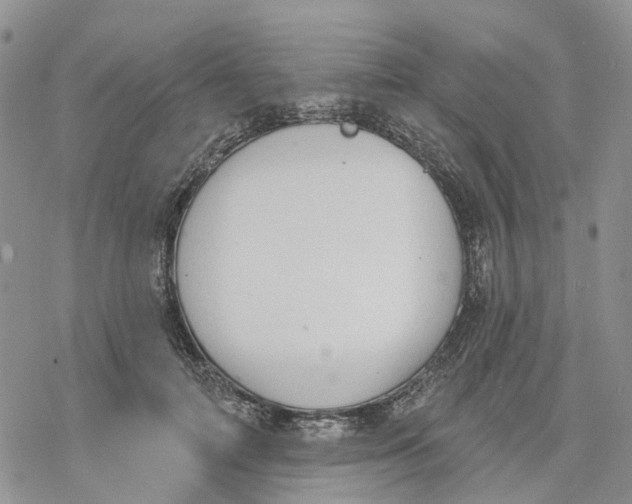 X0000078230698200611251214