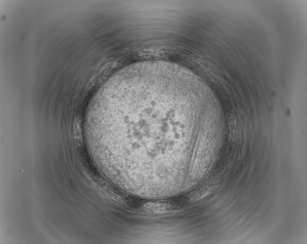 X0000078230699200611251214